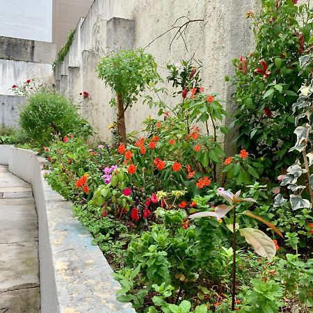 205- Apartamento 1 Quarto Suite, Encantador, Amplo E Decorado, Mobiliario Moderno, Cozinha Completa Com Utensilios , Excelente Vista Da Cidade E Localizacao Privelegiada No Bairro Bigorrilho , クリチバ エクステリア 写真
